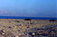 Dead Sea #1